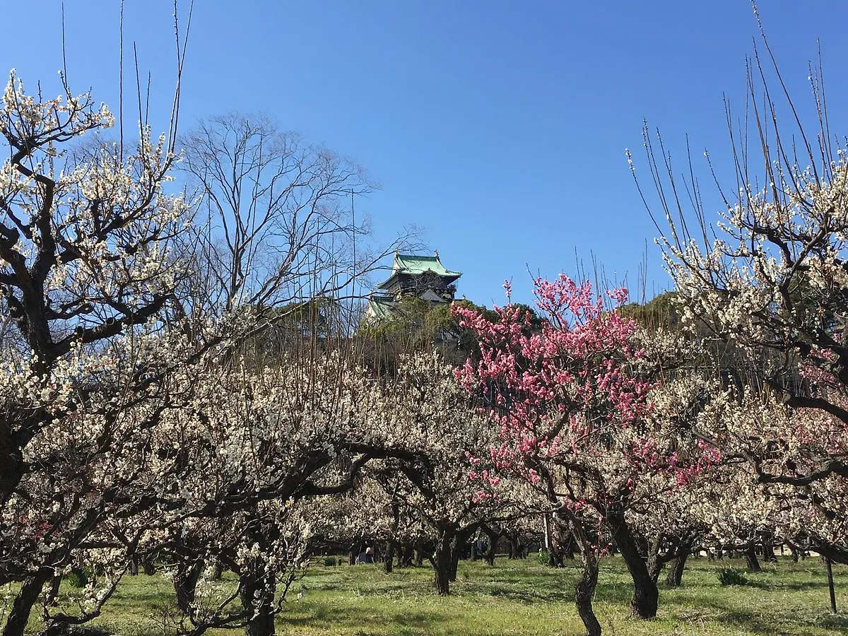 *** Yetişkin Oteli Towers Hotel - Adult Only - Osaka Japonya